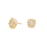 Aretes de racimo de 23 diamantes